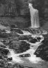 © Harry Pinkerton  <em>Thornton Force</em>