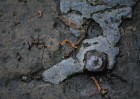 © Jeanette Davidson  <em>blob</em>