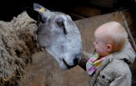 © Jeanette Davidson  <em>Great &small</em>