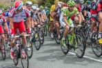 © Stuart Jackson  <em>the peloton</em>