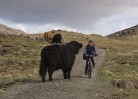 © Harry Pinkerton  <em>Close encounter with a friendly native on Rum</em>