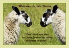© Sue Haddrill  <em>Tête-à-tête</em>