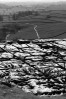 © Christine Flitcroft  <em>Malham Paving</em>