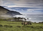 © Harry Pinkerton  <em>Harris Bay, Rum</em>
