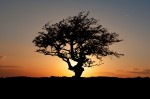 © Harry Pinkerton  <em>Sunset on Scales Moor</em>