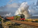 © John Cooper-Smith  <em>he Scot at Birkett</em>