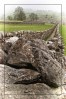 © Malcolm Walker  <em>Down the straight and narrow</em>