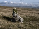 © Gill Pinkerton  <em>Harry Horse Stone</em>