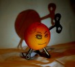 © Jeanette Davidson  <em>A clockwork orange</em>
