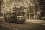 © Stuart Jackson  <em>A street car named desire</em>