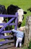 © Jeanette Davidson  <em>young farmer</em>