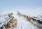© Jeanette Davidson  <em>Winter track</em>