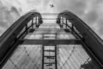 © Stuart Jackson  <em>Skywards</em>