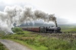 © Chris Chandler  <em>Murky Steam</em>